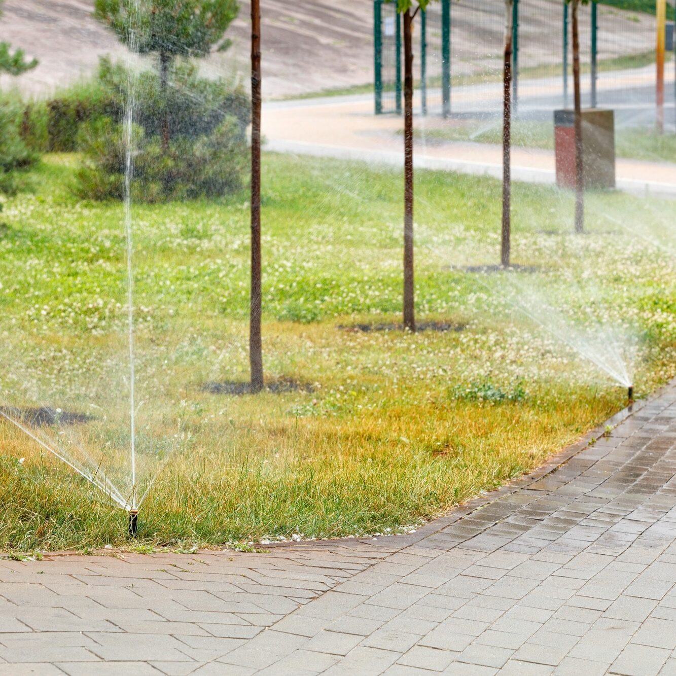 An automatic irrigation system irrigates the green lawn in the young garden of the city park.