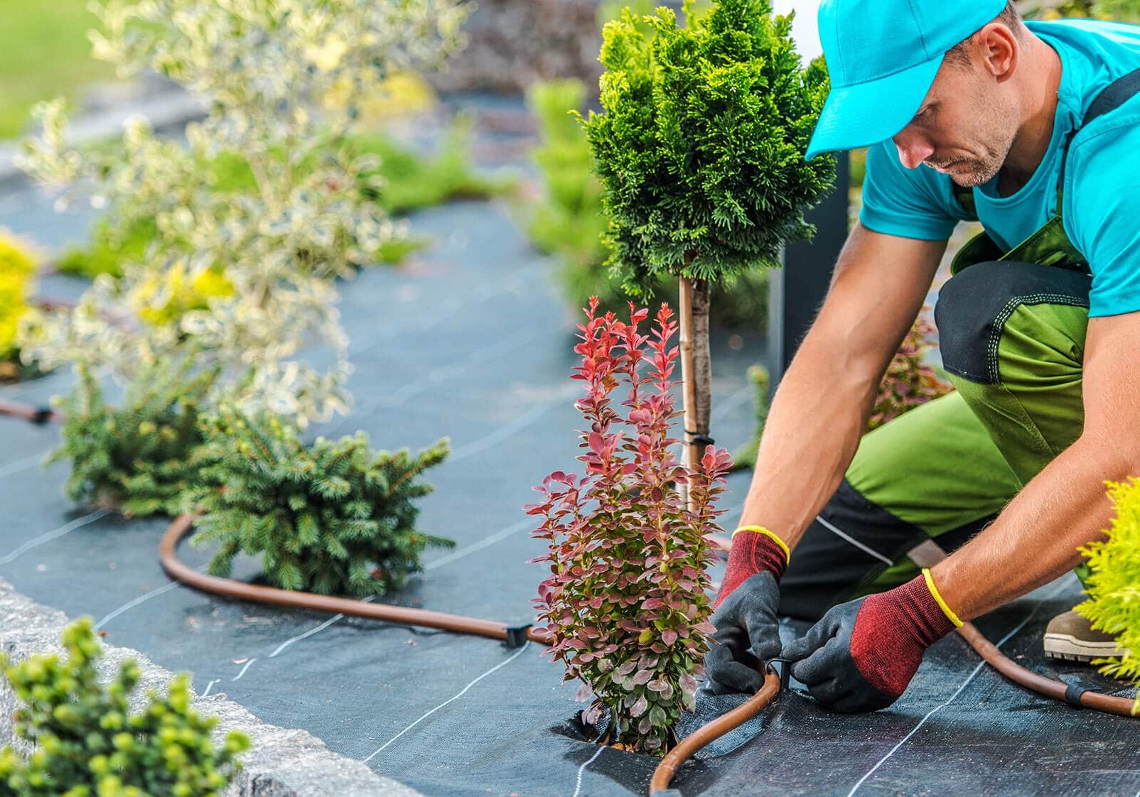 how-to-start-a-landscaping-business-1173342162